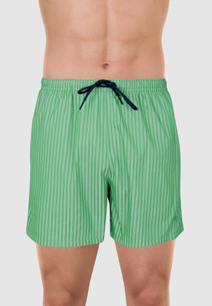 Homme portant un short de bain rayé vert avec un cordon noir, montré de la taille au milieu de la cuisse sur un fond uni.