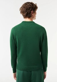 Suéter verde de punto con un acabado texturizado, cuello redondo y dobladillos acanalados, exhibido desde la parte de atrás con un corte relajado.