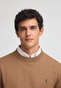 Brun tröja med rund halsringning, texturerad tyg och en liten logotypaccent; bärs över en vit skjorta med ljusa ränder.