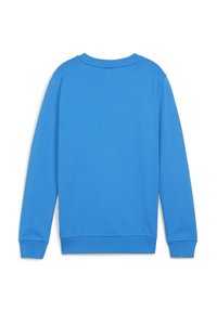 Felpa in cotone blu con collo rotondo, maniche lunghe e polsini a costine. Tessuto liscio, colore unico, senza motivi o grafiche visibili.