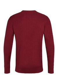 U.S. Polo Assn. MADS - Pulover - tibetan red