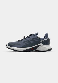 SUPERCROSS 4 GTX - Trail running shoes - grisaille/white/carbon