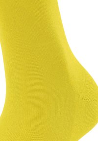 FALKE FAMILY  żółty