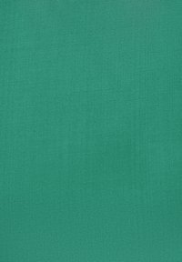 Tissu vert uni avec une texture lisse, une couleur uniforme et un éclat minimal, adapté à diverses applications textiles.