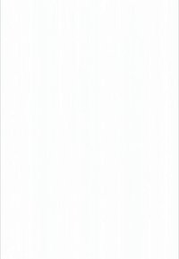 Prozirni bijeli plastični list, glatka tekstura, pravokutnog oblika, jednolične boje, bez vidljivih uzoraka ili detalja hardvera.