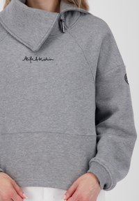 Grauer Sweatshirt mit hohem Kragen, Reißverschluss, gerippten Bündchen und gesticktem Logo auf der Vorderseite. Weiche Textur.
