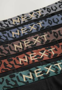 Penkių elastingų juostelių rinkinys su gyvūnų raštais. Spalvos: pilka, mėlyna, ruda, rudai raudona ir žalia, kiekviena su užrašu "NEXT" auksinėmis raidėmis.