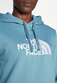 The North Face W DREW PEAK REGULAR HOODIE - Felpa con cappuccio - algae blue