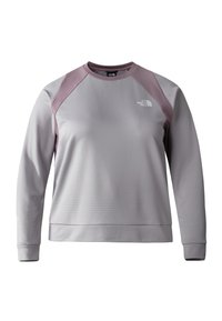 Felpa grigia con texture a motivo, maniche raglan in mauve a contrasto e un piccolo logo sul petto. Presenta un collo rotondo e maniche con polsini.