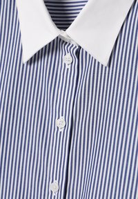 Camicia con bottoni caratterizzata da un colletto bianco e righe verticali blu e bianche. Il tessuto appare liscio con chiusura a bottoni sul davanti.