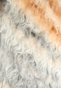 Lockige und wellige Wolltextur mit gemischten Farben in Hellgrau, Creme und Tan, die ein sanftes, natürliches Muster erzeugen.