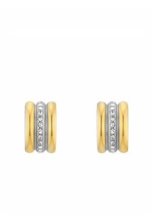 Earrings - bicolor