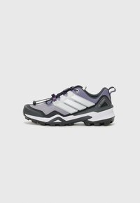 TERREX SKYCHASER - Chaussures de marche - preloved violet/matte silver-coloured/dash grey