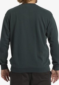 Mörkgrön sweatshirt med en slät yta. Ribbad mudd och nederkant, rund halsringning och en avslappnad passform. Inga synliga logotyper eller mönster.