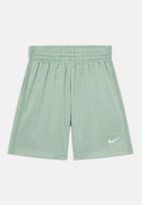 Nike Performance - UNISEX - Kurze Sporthose - steam/light silver Thumbnail-Bild 1