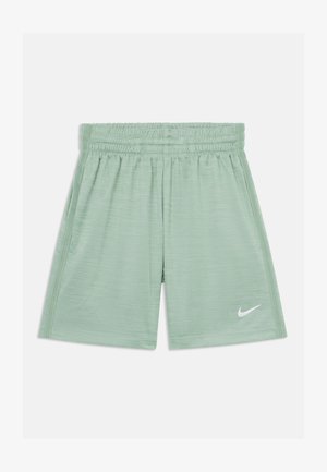 UNISEX - Sports shorts - steam/light silver