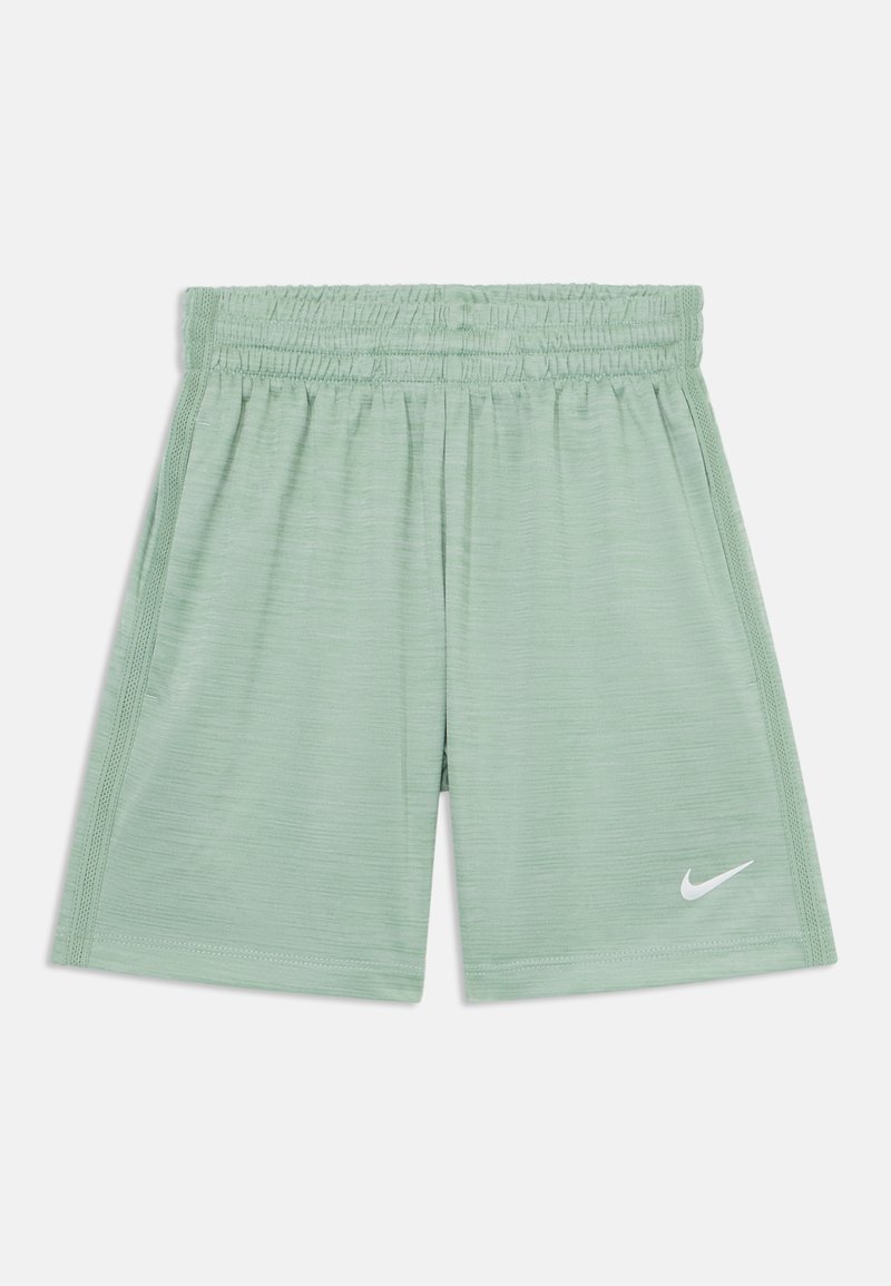 Nike Performance - UNISEX - Kurze Sporthose - steam/light silver, Vergrößern