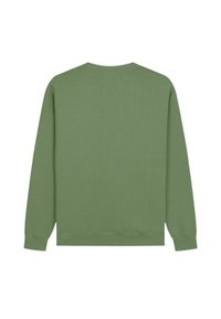 Felpa verde, morbido misto cotone, maniche lunghe, collo a giro, polsini e orlo ribattuti, texture liscia, design minimalista, colore uniforme.