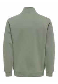 Felpa verde con collo alto, polsini e orlo a costine. Tessuto liscio, vista posteriore completa, con cuciture minime e senza motivi.