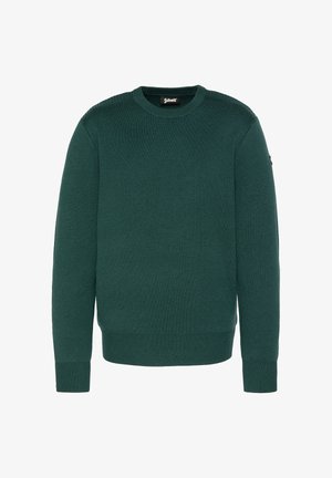 Grüner Rundhalsausschnitt-Pullover aus weichem Strickstoff, mit gerippten Bündchen und Saum, sowie einem kleinen Logo-Patch am linken Ärmel.