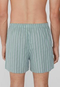 Shorts de bain rayés verts en tissu léger, avec une taille élastique et des rayures verticales blanches et navy alternées pour le contraste.