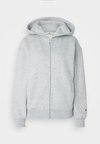 ICONS FULL ZIP HOODIE LOGO - Cipzáras pulóver - grey