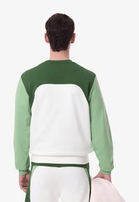 Sudadera verde y blanca con cuello redondo. El diseño bloqueado por colores incluye hombros verde oscuro y mangas verde claro. Textura suave.