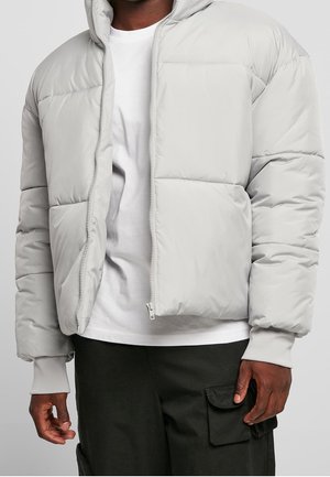 Chaqueta de invierno - light grey