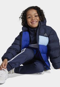 adidas Performance KIDS UNISEX - Giacca invernale - legend ink/clear sky/semi lucid blue