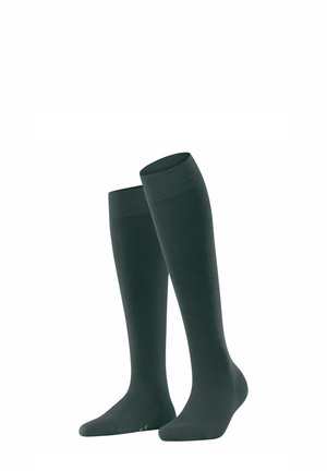 FALKE Softmerino - Kniestrümpfe - pine grove