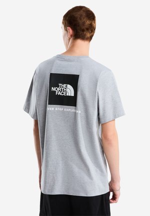 The North Face, M EVOLUTION BOX NSE REGULAR SHORT SLEEVE TEE - Print T-shirt - tnf pale grey heather
