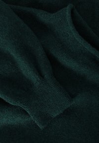 TATUUM Jersey de punto - dark green