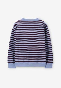 Sweatshirt rayé avec des bandes horizontales rouge foncé et bleu clair, en tissu doux, avec des poignets en côte et un col rond bleu clair.