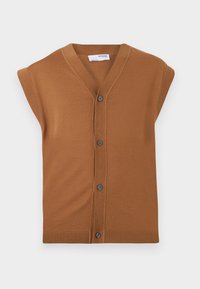 TRAY  - Vest - chipmunk