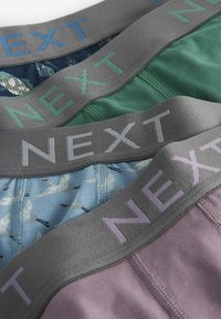 Next PATTERN FOUR PACK - Apakšbikses - blue green animal pattern