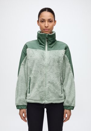 Modèle portant une veste polaire vert pâle avec des empiècements vert plus foncé et un col montant zippé, devant un fond blanc uni.