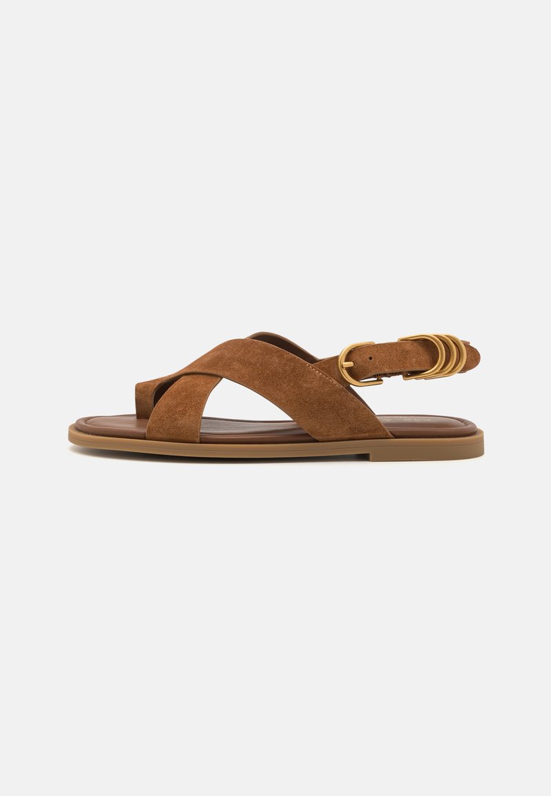 rag & bone - GIA TOE LOOP - Riemensandalette - umbersd, Vergrößern