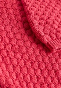 Next BOBBLE - REGULAR FIT - Kardiganas - red
