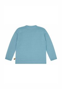 Helles blaues Langarmshirt aus Baumwolle mit rundem Halsausschnitt und einem Saumetikett mit Farbakzenten. Glatte Textur, lässiges Design.