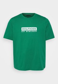 COLOUR TO COLOR GRAPHIC TEE - Tričko s potlačou - nouveau green