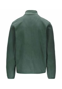 Giacca in pile verde con colletto alto, maniche lunghe e una texture liscia. Caratterizzata da un design semplice senza ulteriori accenti.