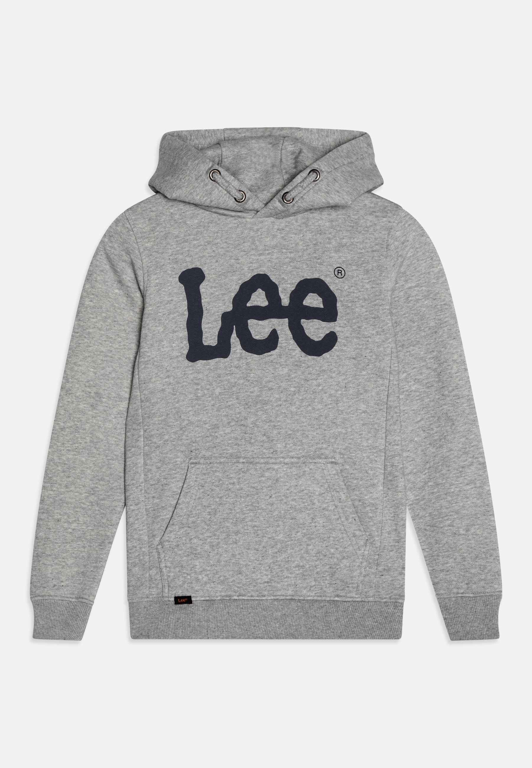 Lee WOBBLY GRAPHIC HOODIE Sweatshirt vintage grey heather