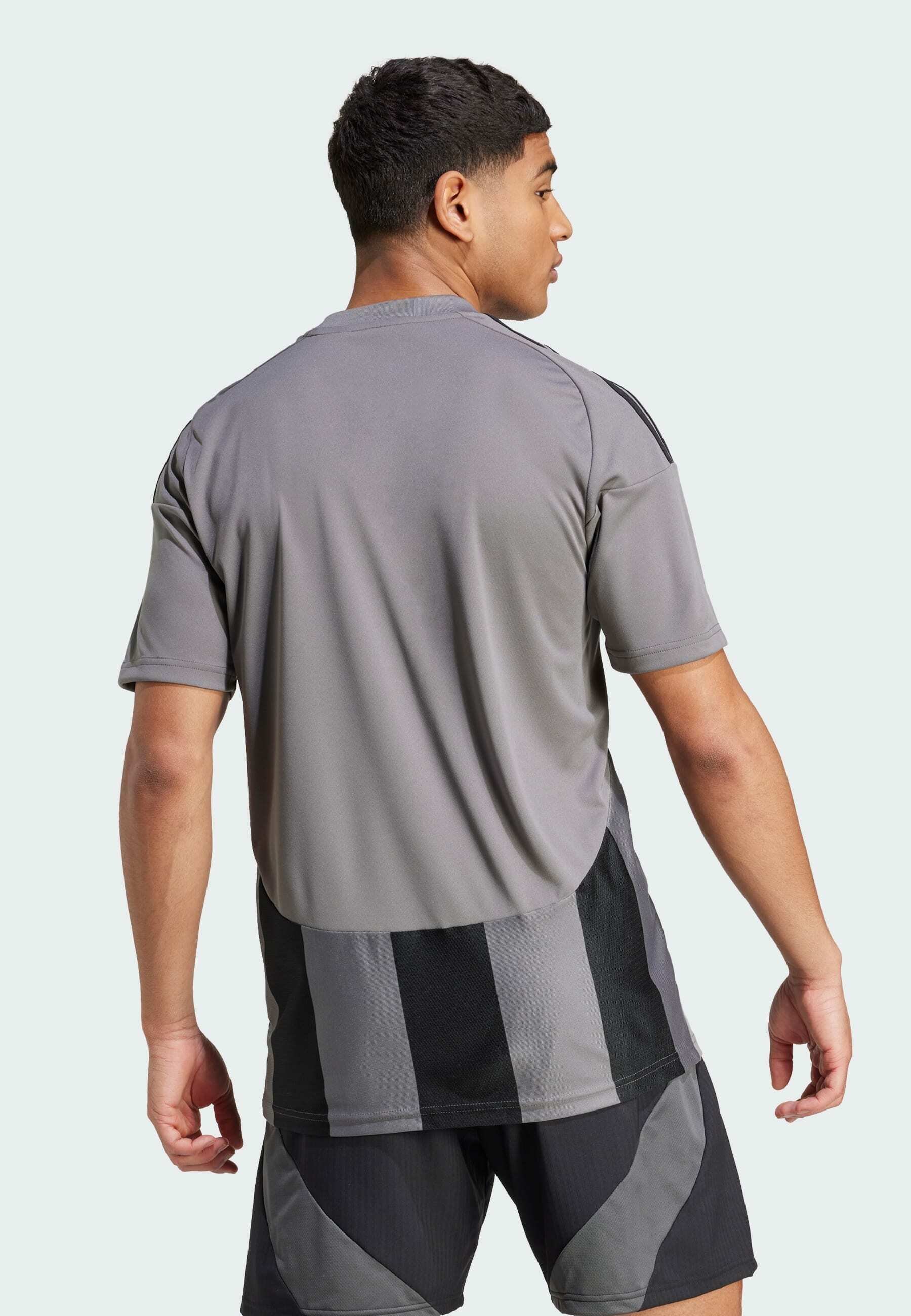 adidas Performance ADIDAS PERFORMANCE STRIPED 24 JERSEY - Football