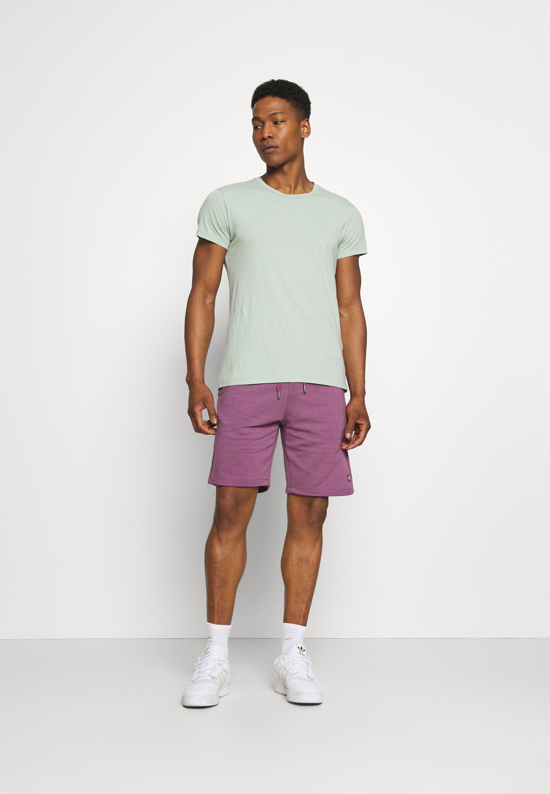 Dickies CHAMPLIN - Shorts - purple 