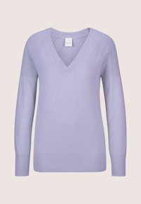 Lavendel V-Ausschnitt Pullover mit langen Ärmeln, gerippten Bündchen und Saum sowie einer glatten Textur. Hergestellt aus leichtem Strickmaterial.