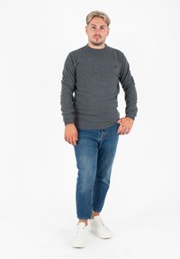 Maglione grigio a maglia con collo rotondo, indossato con jeans azzurri chiari e sneakers bianche. Design semplice, senza motivi o loghi visibili.