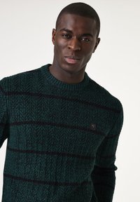 Groene gebreide trui met een textuurpatroon, voorzien van donkerblauwe horizontale strepen en een klein zwart logo-opdruk aan de voorkant.