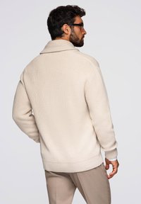 Beige Strickpullover mit Schalkragen, strukturiertem Oberflächen und gerippten Bündchen, über grauen Hosen getragen, von hinten betrachtet.