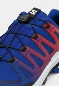 Kék és rózsaszín sportcipő texturált hálós felsőrésszel, gumis fűzőkkel és jól látható logóval a nyelvén. Párnázott talppal rendelkezik.