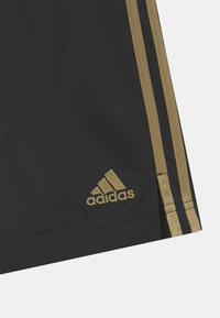 adidas Performance FC BAYERN MÜNCHEN A UNISEX - Pantaloncini sportivi - black